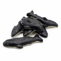 Cola Orcas (100g)