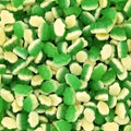 Mini Frogs (100g)
