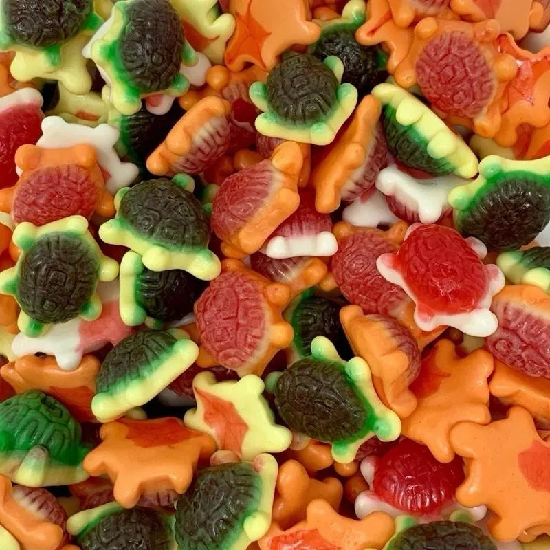 Jelly Filled Turtles (100g)