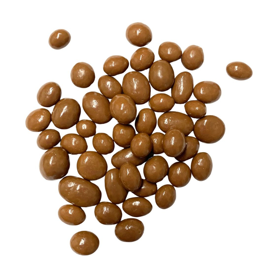 Chocolate Coated Raisins (100g)
